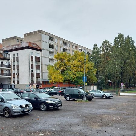 Central Gallery Apartment Debrecen Eksteriør billede